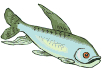 gruenfish